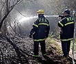 El incendio en la Reserva Ecolgica fue extinguido