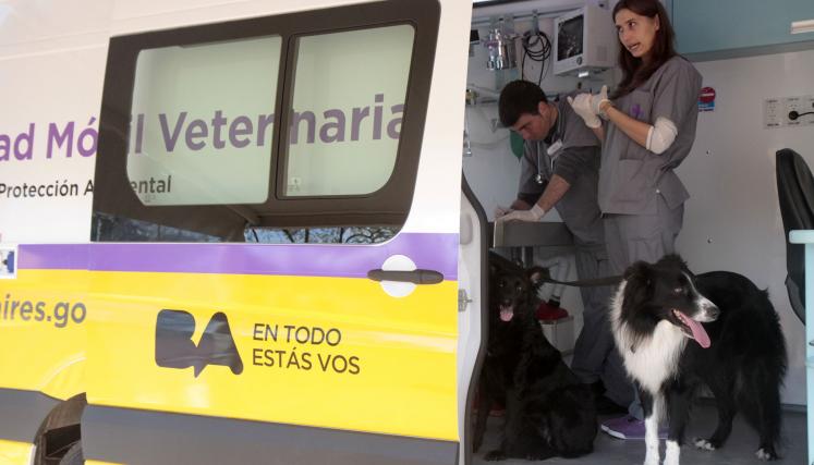 El año pasado la Ciudad sumó cuatro modernos móviles de atención veterinaria y castración que recorren las 15 comunas. Foto: Mascotas de la Ciudad/GCBA.