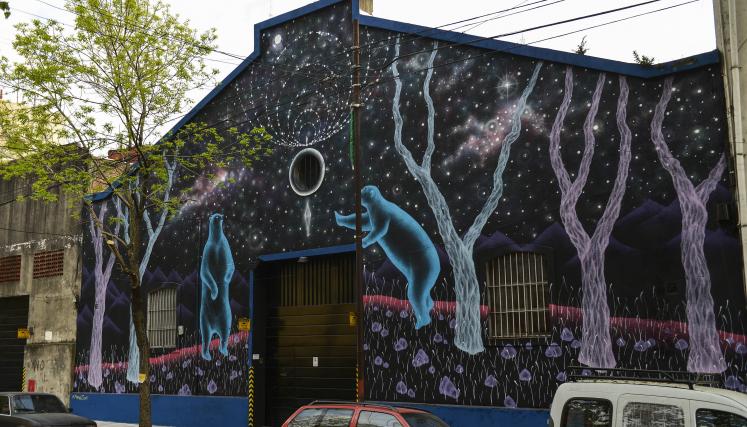 Recorrido guiado por el arte urbano de La Boca