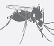 Balance del operativo contra el dengue en Liniers y Versalles