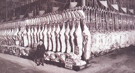 Resultado de imagen para industria frigorífica argentina en el siglo XIX"