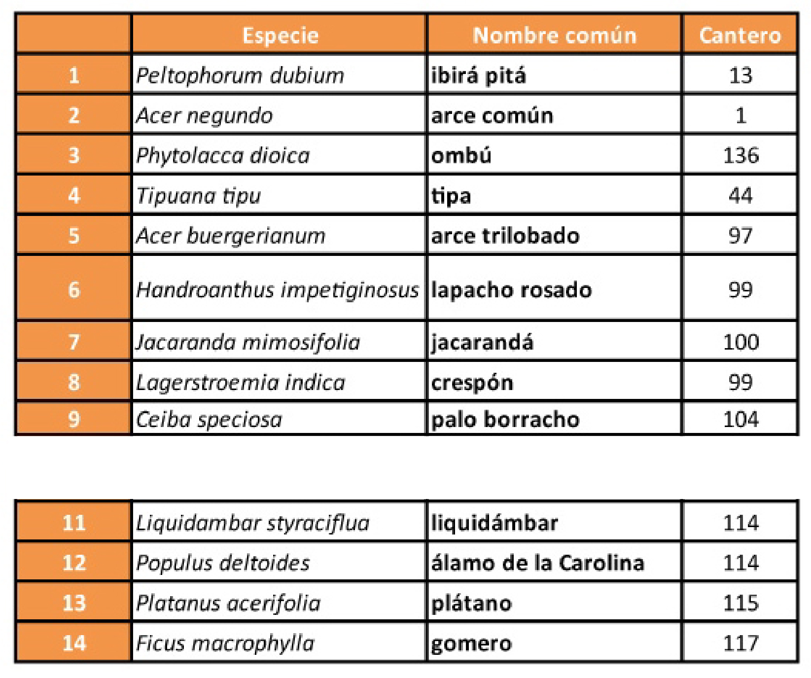 Arboles de mi ciudad listado