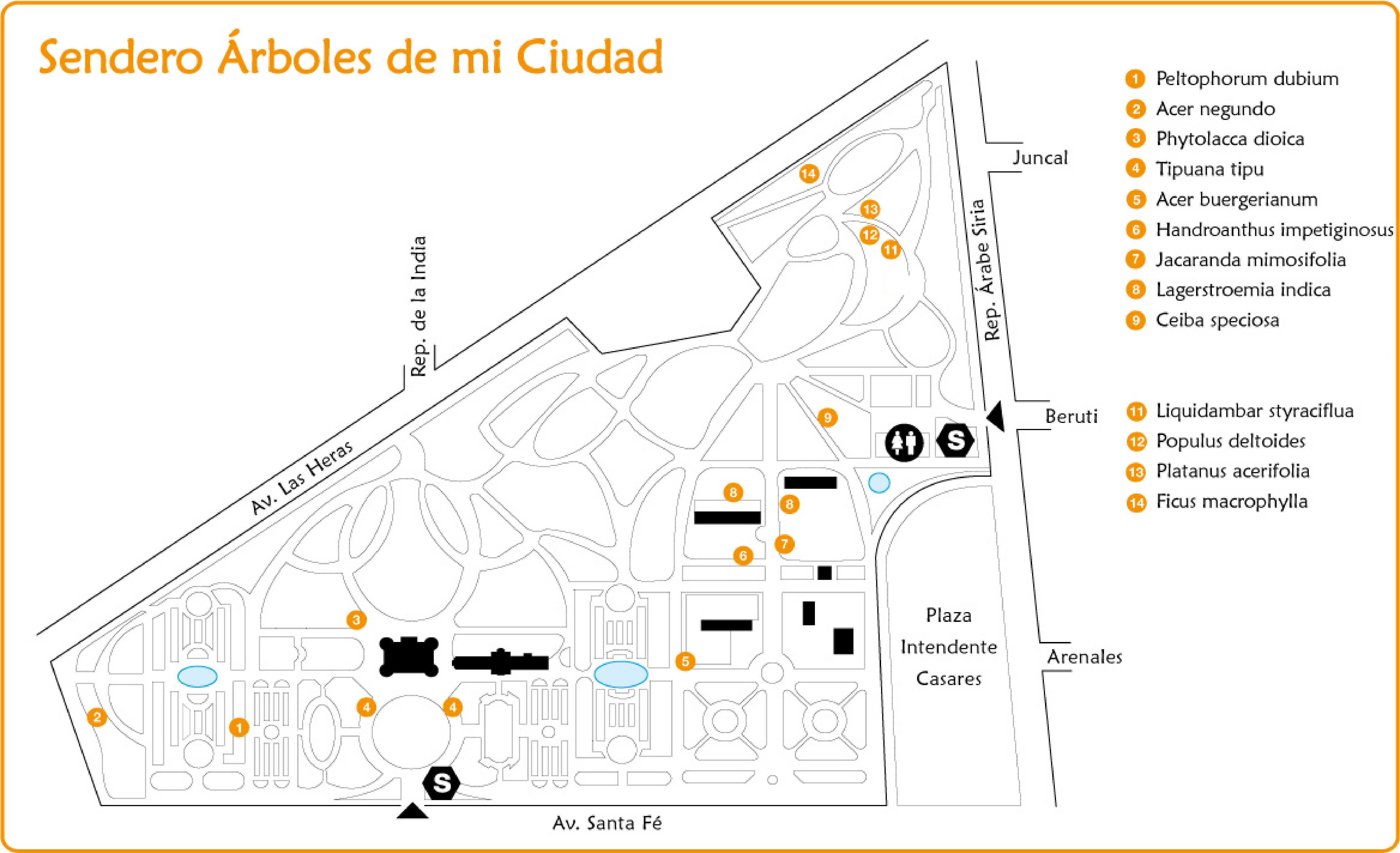 Arboles de mi ciudad mapa