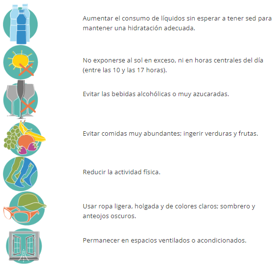 consejos ante calor