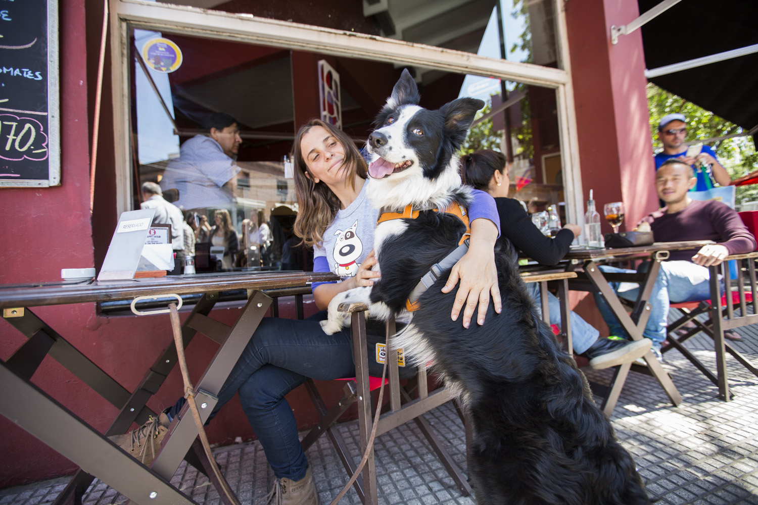 Los vecinos de la Ciudad ya pueden ir a bares o restaurantes con sus mascotas