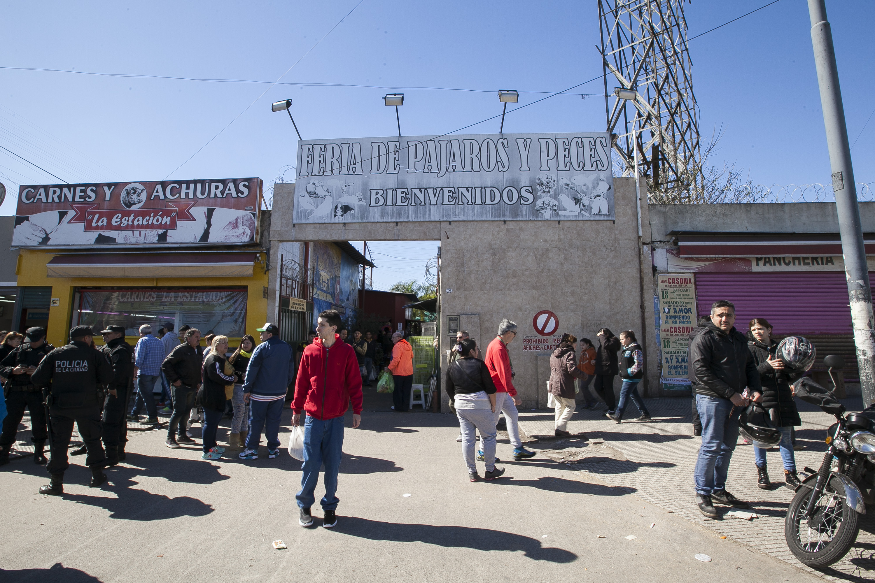 La Ciudad suspendió las actividades de la Feria de Pájaros de Nueva Pompeya
