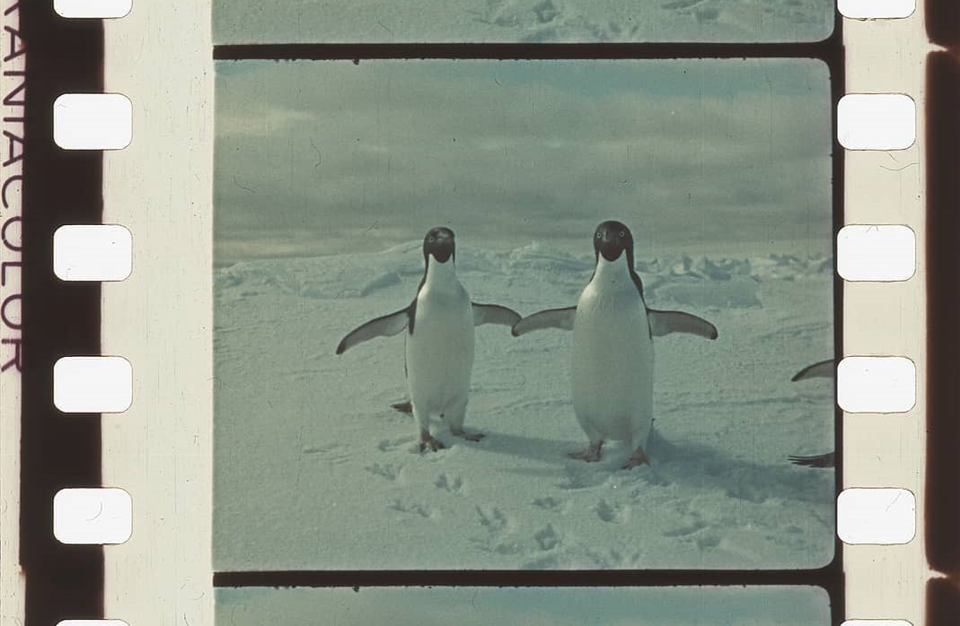 Día Mundial del Patrimonio Audiovisual: rescatando el cine antártico argentino