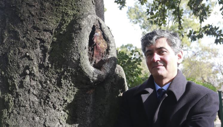 El historiador Daniel Balmaceda junto a la histórica magnolia de Palermo
