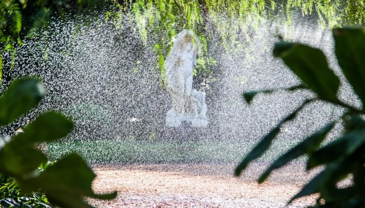 El Botánico quedó como Carlos Thays lo imaginó hace 100 años. Foto: Estrella Herrera