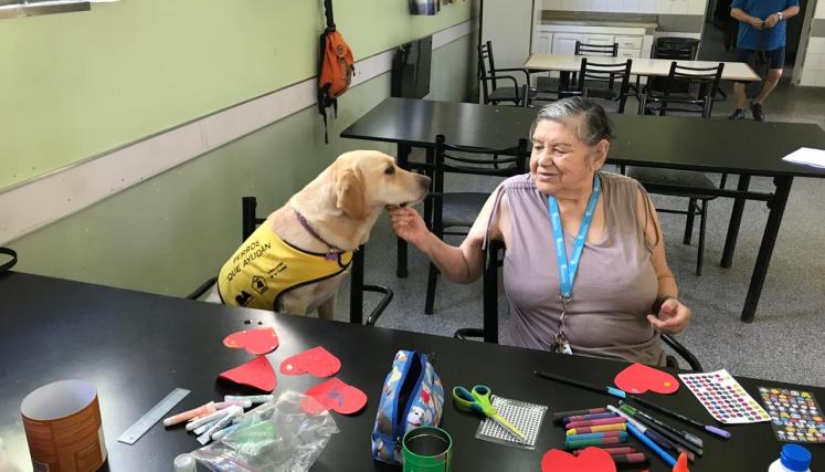 Programa "Perros que ayudan" - Hogar San Martín